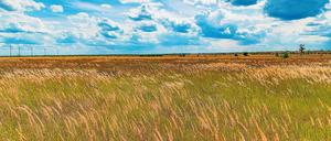 Viel Platz gibt es in der Lausitz, etwa auch auf dieser Rekultivierungsfläche im Braunkohletagebau Jänschwalde. Gute Verkehrsverbindungen, stabiles Internet und Fachkräfte sind die wichtigsten Voraussetzungen für einen erfolgreichen Strukturwandel.