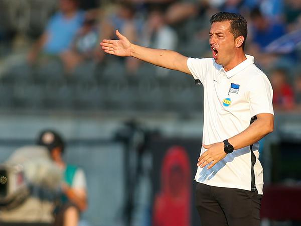 Da geht's lang: Herthas Cheftrainer Ante Covic hatte gegen Wolfsburg viel zu tun.