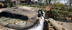 Was vom Auto übrig blieb: Wenn ein Baum auf dem Fahrzeug landet, ist man froh, wenn man eine Kaskoversicherung hat.