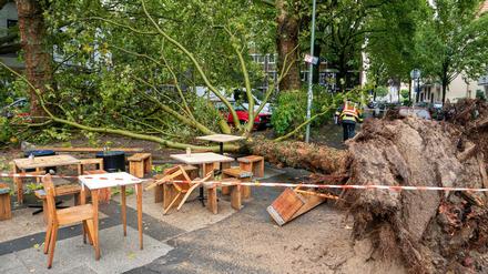 Der Baum fiel neben den Außenbereich einer Eisdiele.
