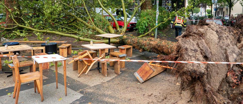 Der Baum fiel neben den Außenbereich einer Eisdiele.