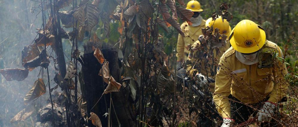 Feuerwehrleute im Einsatz bei den Waldbränden in Brasilien