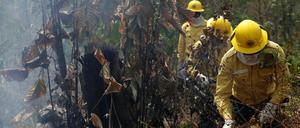 Feuerwehrleute im Einsatz bei den Waldbränden in Brasilien 