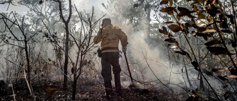 Ein Mitarbeiter der brasilianischen Umweltbehörde inmitten eines von den Waldbränden zerstörten Waldstücks