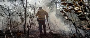 Ein Mitarbeiter der brasilianischen Umweltbehörde inmitten eines von den Waldbränden zerstörten Waldstücks 