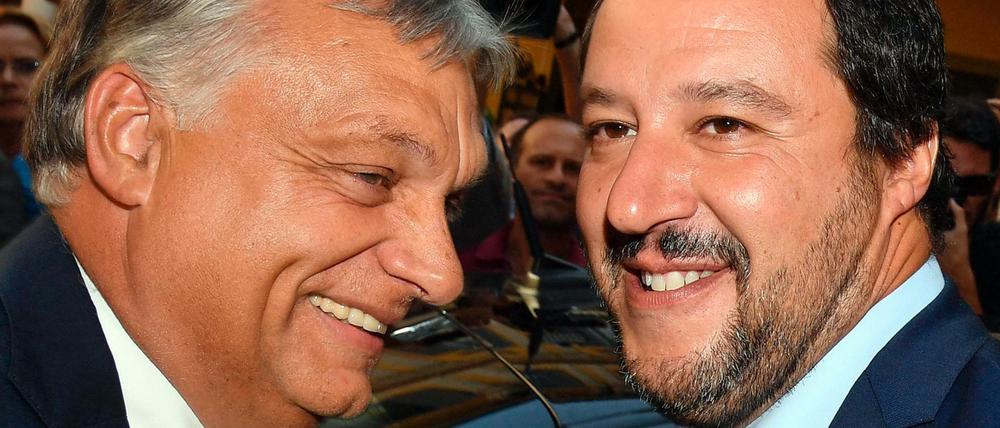 Matteo Salvini (rechts) und Viktor Orban