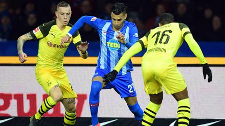 Hallo, Kollege? Marius Wolf (links) könnte bald mit Davie Selke (Mitte) zusammen für Hertha BSC auflaufen.