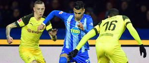 Hallo, Kollege? Marius Wolf (links) könnte bald mit Davie Selke (Mitte) zusammen für Hertha BSC auflaufen.