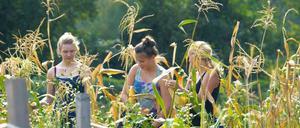 Das Projekt zeigt, wie viel angebaut werden muss, um genügend Rohstoffe zu erzeugen – für die Ernährung, aber auch für Energie und Transport.