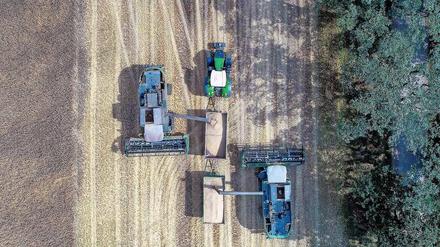 Ein weites Feld. In Brandenburg prägen große Anbauflächen die Landschaft. Bio-Höfe sind noch eher selten.