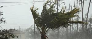 Ein Hurrikan (Symbolbild).