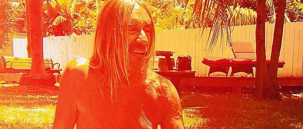 Kein Bock auf Rock. Iggy Pop lässt es in Miami locker angehen.
