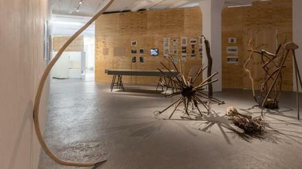 Gartenbau indoor. Installationen in den Räumen der Neuen Gesellschaft für Bildende Kunst.