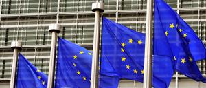 Gut dotiert ist der Posten in der EU-Kommission, den der Rumäne Mircea Pascu anstrebt.