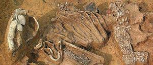 Ein Grab aus dem 5. Jahrtausend aus der Siedlung von Alsónyék.