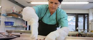 Noch sind in den Gewebeproben verstorbener Hunde die Verursacher einer Infektionskrankheit, die derzeit in Norwegen umgeht, nicht identifiziert worden.