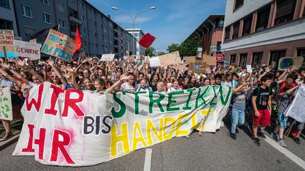 Schülerinnen und Schüler bei einer "Fridays for Future"-Demo in Baden-Württemberg.