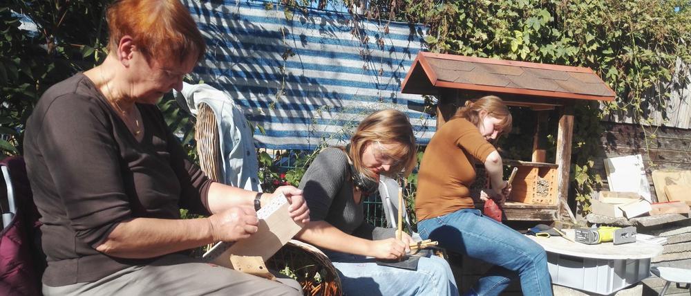 In der Kolonie am Flughafen entstehen INsektenhotels.