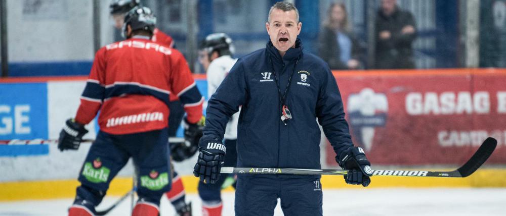 Heiß auf Eis. Serge Aubin, Cheftrainer der Eisbären Berlin, freut sich auf den Start in der DEL.