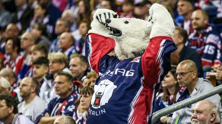 Sie brüllen wieder. Die Eisbären, hier Maskottchen Bully, freuen sich über einen starken Start in die DEL.