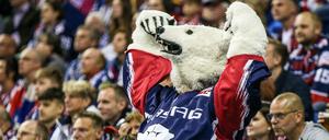 Sie brüllen wieder. Die Eisbären, hier Maskottchen Bully, freuen sich über einen starken Start in die DEL.