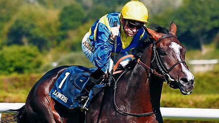 Stammgast. Jockey Filip Minarik ist auch am Sonnabend wieder in Hoppegarten am Start.