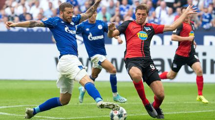 Zuletzt auf Schalke lief es nicht so gut für Hertha und Niklas Stark (re.).