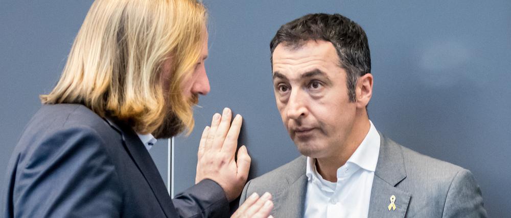 Cem Özdemir gilt als Realo, Anton Hofreiter gehört dem linken Parteiflügel an.