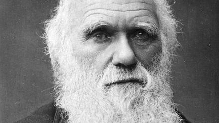 Charles Darwin ist eine der vielen Stimmen in dem „Handbuch der Menschenkenntnis“.