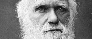 Charles Darwin ist eine der vielen Stimmen in dem „Handbuch der Menschenkenntnis“.