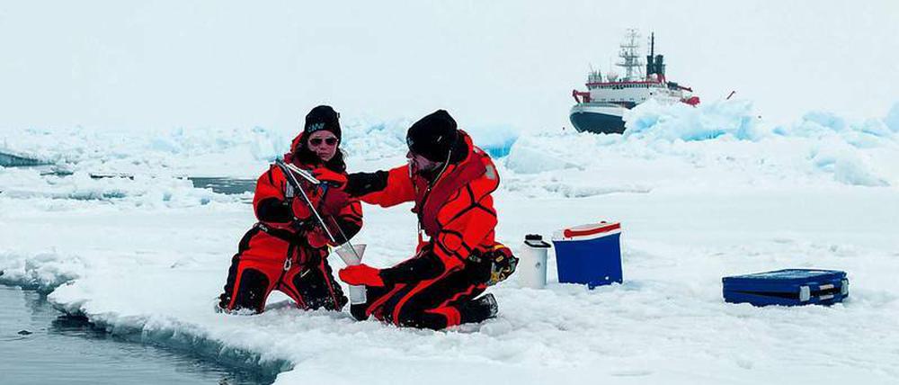 Pol-Position. Das Forschungsschiff „Polarstern“ wird in diesem arktischen Winter im Packeis eingeschlossen, über den Nordpol bis nach Spitzbergen driften und dabei Forschern als Basisstation dienen, die mehr über das Klima dort erfahren wollen. 