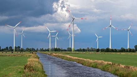 Das deutsche Erneuerbare-Energien-Gesetz war ein "Exportschlager"