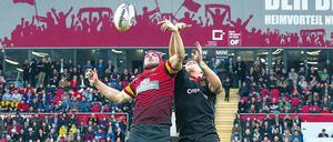 Überflieger. Nationalspieler Sebastian Ferreira (rechts oben) kämpft um die sogenannte Gasse bei einem Länderspiel gegen Belgien. 