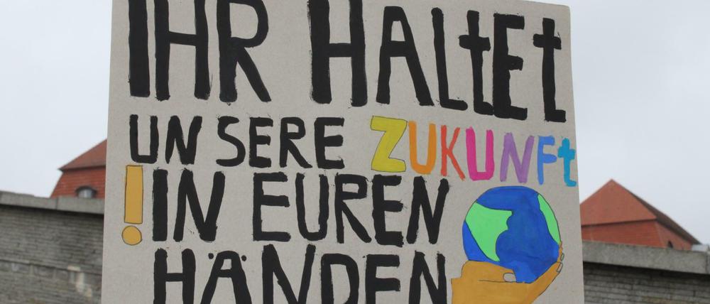 Fridays for future Demo in Berlin-Mitte.