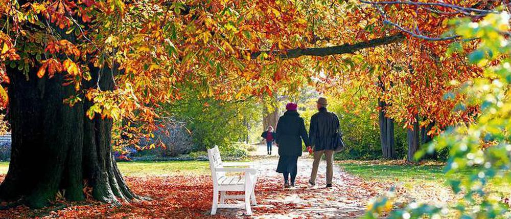 Glücksort unter Kastanienlaub: Viele solcher Plätze hat Buchautorin Sybille Wesenberg gesammelt.