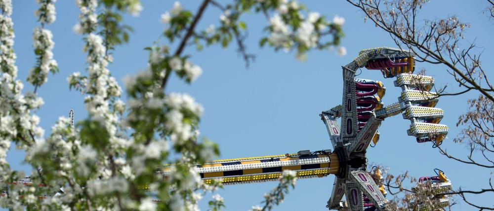 Obstbauern und Einwohner protestierten gegen die Absage des Baumblütenfestes, 2021 soll es nun wieder stattfinden.