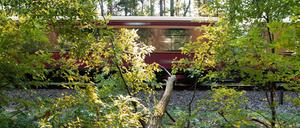 Eine S-Bahn ist am Morgen mit dem quer über die Schienen liegenden Baum kollidiert.