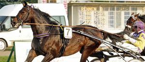 In Fahrt: Rudolf Haller und Orlando Jet.