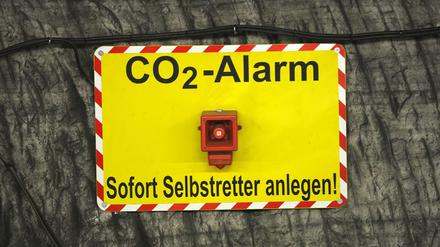 "Je länger wir zögern, desto teurer wird es – bei den Emissionsreduktionen, und auch bei den Klimaschäden", warnt der Potsdamer Experte Edenhofer.