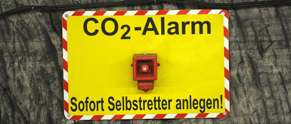 "Je länger wir zögern, desto teurer wird es – bei den Emissionsreduktionen, und auch bei den Klimaschäden", warnt der Potsdamer Experte Edenhofer.