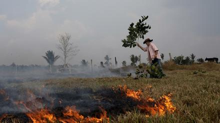 Die Brandrodungen in Brasilien tragen ebenfalls zu den Treibhausgasen bei. 