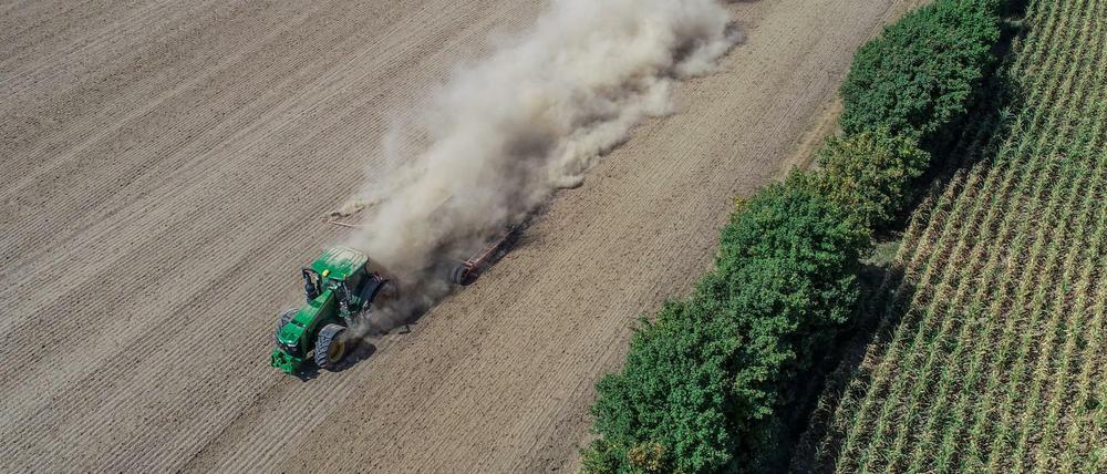 Ausbildungsplätze in der Landwirtschaft sind zunehmend schwerer zu besetzen, obwohl der Brandenburger Landesbauernverband immense Zukunftschancen sieht.