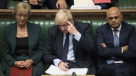 Premier Boris Johnson (Mitte) suspendierte das Parlament.