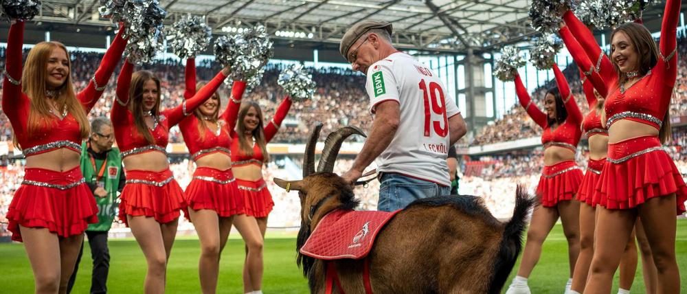 Erfolgreich mit Tradition. Unter neuer Führung will der FC in dieser Saison bestehen.