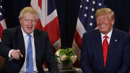 Gut gelaunt: Boris Johnson und Donald Trump 