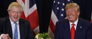 Gut gelaunt: Boris Johnson und Donald Trump