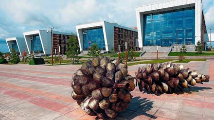 Überdimensionale Kiefernzapfen als Kunstwerk auf dem Campus von Innopolis.