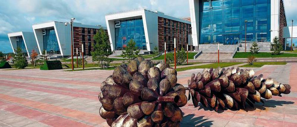 Überdimensionale Kiefernzapfen als Kunstwerk auf dem Campus von Innopolis.