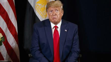  Donald Trump, Präsident der USA