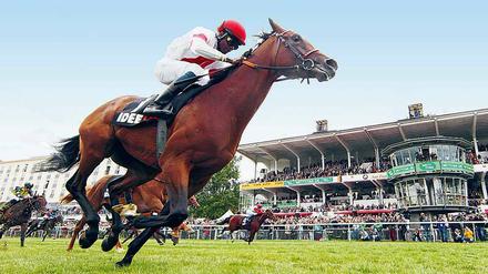 Das soll ein Fest werden: Am 3. Oktober geht es rund in Hoppegarten.